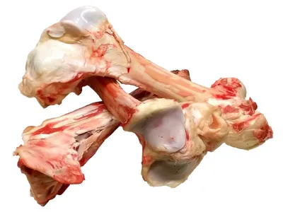 Кости кисти 3D модель - Скачать Анатомия на 3DModels.org