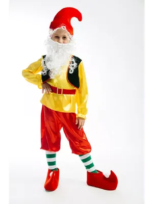 Детский карнавалиный костюм гнома для мальчика (ID#1899287103), цена: 450  ₴, купить на Prom.ua