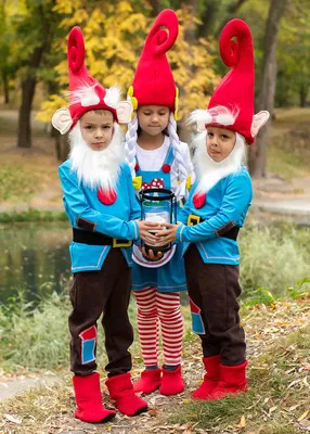 Костюм Гнома, 130217, размеры 3-4 года, 5-6 лет, 7-8 лет, 9-10 лет |  Сравнить цены на ELKA.UA