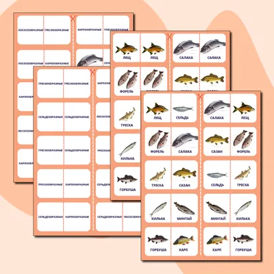 Рыбы биология - строение, надкласс и классы