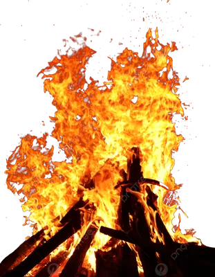 изображение большого костра в осеннем лесу с людьми вокруг него, пламя  костра, костер, древесина фон картинки и Фото для бесплатной загрузки