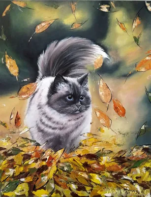 Картина маслом \"осенний кот\". Природа. Осень. Котик в интернет-магазине  Ярмарка Мастеров по цене 17000 ₽ – JKGF2BY | Картины, Королев - доставка по  России
