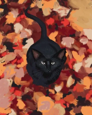 кошка в лесу осенью цветные обои, осень кошка животное, Hd фотография фото,  коричневый фон картинки и Фото для бесплатной загрузки
