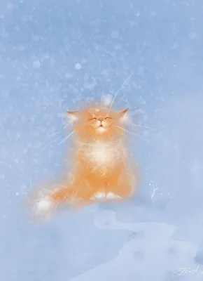 картинки : природа, снег, зима, белый, мороз, Домашнее животное, Кот,  Погода, Млекопитающее, Крупным планом, Бакенбарды, Домашняя кошка,  скумбрия, Макросъемка, Снег, От маленьких до средних кошек, Кошка как  млекопитающее 3629x2419 - - 1276169 ...