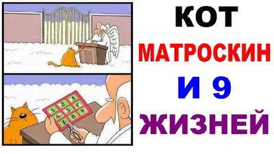 Приколы с котами. КОТ МАТРОСКИН - ОСТАЛОСЬ 2 ЖИЗНИ ИЗ 9. Угарные мемы -  YouTube