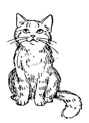 Картинки кот Пушин для срисовки