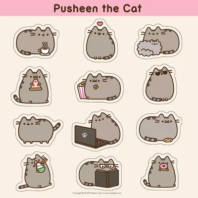 https://www.ozon.kz/product/myagkaya-igrushka-kot-pushin-cat-pusheen-23cm-1350992212/