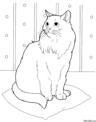 Раскраска Кот в задумчивости | Раскраски Коты, кошки и котята | Раскраски с  животными, Кошачье одеяло, Раскраски