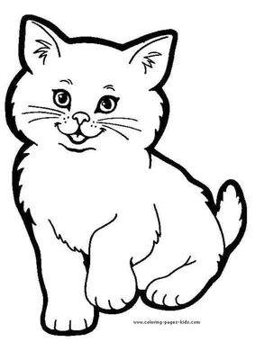 Раскраска Кошка или кот | Раскраски с домашними животными