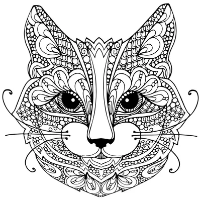 Британский кот раскраска - 55 фото