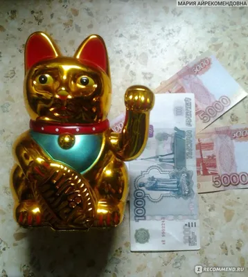 Кот с помощью кредитной карты и деньгами Стоковое Изображение - изображение  насчитывающей дело, деньги: 170996709