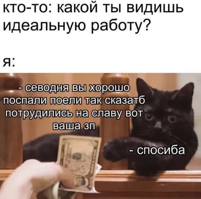 мем, кот, мем с котом, деньги | misfortune | Мемозг