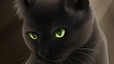Копилка кошка большая, котик для денег, кот серый, котенок Нашы майстры  160473056 купить за 991 ₽ в интернет-магазине Wildberries