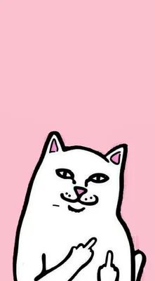 Ripndip wallpaper, Cute wallpapers, Pretty wallpaper iphone