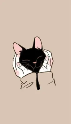 Каждому своё MEMES Картхолдер Мемные котики Мемы Кот с факом