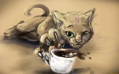 Что может быть лучше котиков и кофе? | Пикабу
