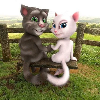 Картинки по запросу говорящий том и анжела | Talking tom, Cat talk, Tom love