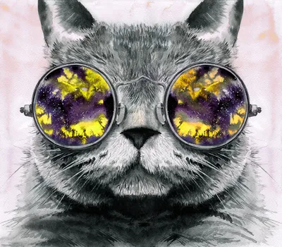 Купить фотообои Кошки «Серый кот в очках» | PINEGIN