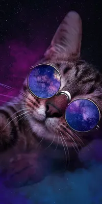 Популярная обложка на паспорт из натуральной кожи - Кот в очках космос | iOK