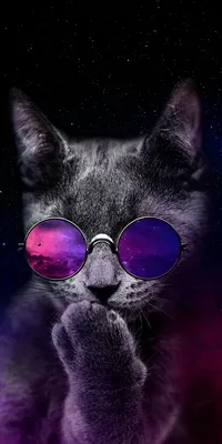Кот в космических очках - 54 фото