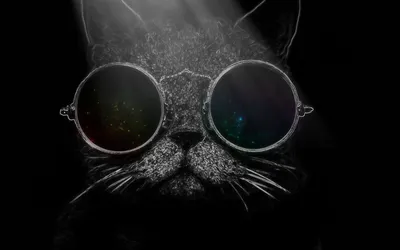 Роспись футболки кот в очках в космосе | Футболки, Космос, Очки