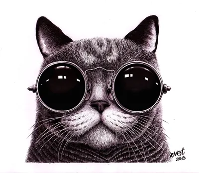 Кот в очках космос обои на телефон [32+ изображений]