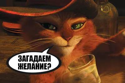 Кот в сапогах 2: Последнее желание» — восхитительный мультфильм, после  которого особенно ждёшь «Шрека 5» - Чемпионат