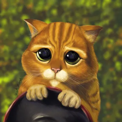 Кот в сапогах-2»: вышел первый трейлер мультфильма о новых приключениях  рыжего кота из «Шрэка» – Афиша