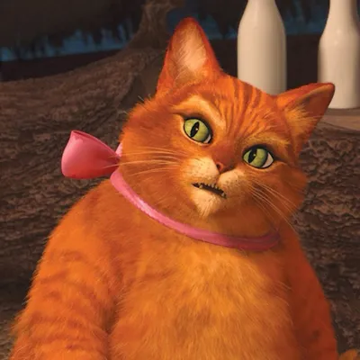 Дакимакура \"Кот из Шрэка / Cat from Shrek\" - купить по выгодной цене |  Geekmagazin.ru - интернет-магазин вещей по аниме, фильмам, сериалам и играм