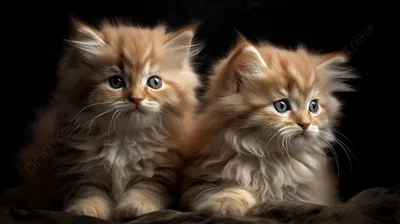 Набор домашние животные кошки. Фигурки котята на выбор в комплекте для  детей купить по цене 249 ₽ в интернет-магазине KazanExpress