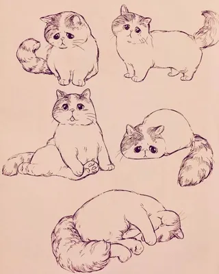 Картинки, рисунки милых котиков для срисовки | Art sketchbook, Cat drawing,  Animal drawings