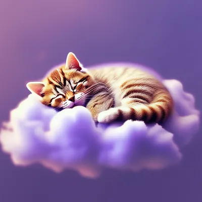 милый котёнок спит в вязанном одеяле. детское животное Стоковое Фото -  изображение насчитывающей шерсть, разведенными: 236512592