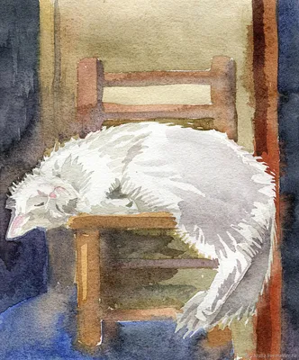 Котенок Спит В Горшке Красивая - Бесплатное фото на Pixabay - Pixabay