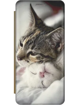 Милые котики с большими глазами рисунки - 78 фото