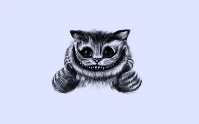Эстетичные картинки для срисовки с котиками (21 шт)