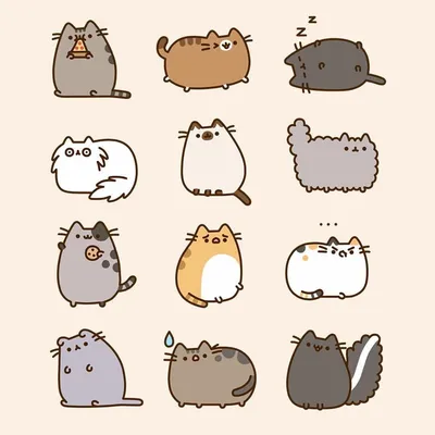ぢゅの🐈 PopboxFUKUOKA on Twitter | Иллюстрации кошек, Милые рисунки, Милые  котики