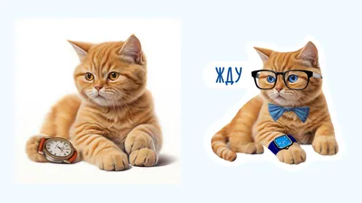 Купить Дизайнерские обои Котики артикул mod-61 | интернет-магазин Details