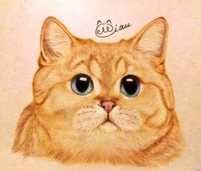 Красивые рисунки карандашом для начинающих котики (49 фото) » рисунки для  срисовки на Газ-квас.ком