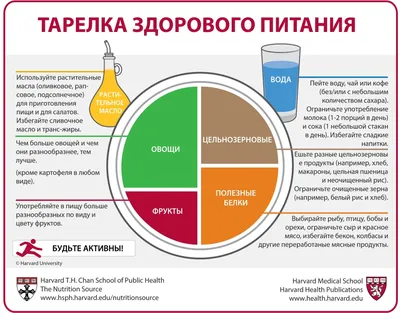 Набор иллюзий наклеивает фигурку для веб-сайта - вектор движения маленьких  людей, которые двигаются физическими рывками, выполняя упражнения нагрузки  на пиктограмму Webit.Top Векторное изображение ©Webittop 138492318