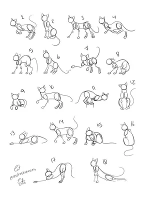 Изображения котов для срисовки, копирования. Более 100 картинок! | Cats art  drawing, Simple cat drawing, Drawings