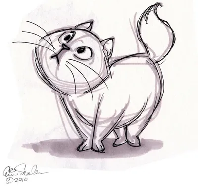 Рисунки котиков для срисовки (46 фото)