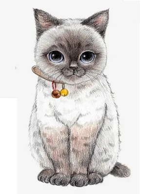 Рисунок кота в стиле пинтерест» — создано в Шедевруме