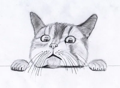 Одесситка создает образы удивительных котов-освободителей | Новости Одессы