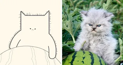 Урок рисования аниме кошек