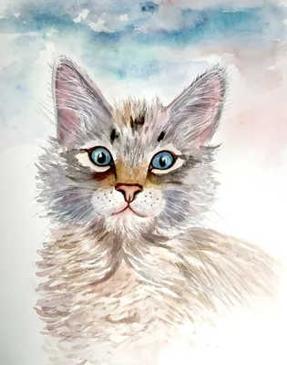 Как быстро нарисовать кота | Кот и кошка | Кошачий рисунок, Кошки, Рисунки  животных