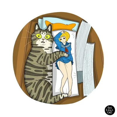 Раскраска Сибирская кошка | Раскраски кошек. Рисунки кошек, картинки кошек