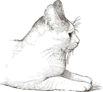 Рисунок кот с боку - 58 фото
