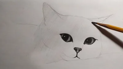 Котенок арт рисунок» — создано в Шедевруме