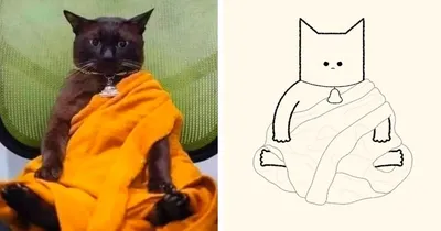 Рисунок котика | Пикабу