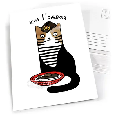 Набор значков Мемные Коты, пины котики, брошь - купить с доставкой по  выгодным ценам в интернет-магазине OZON (1261358629)
